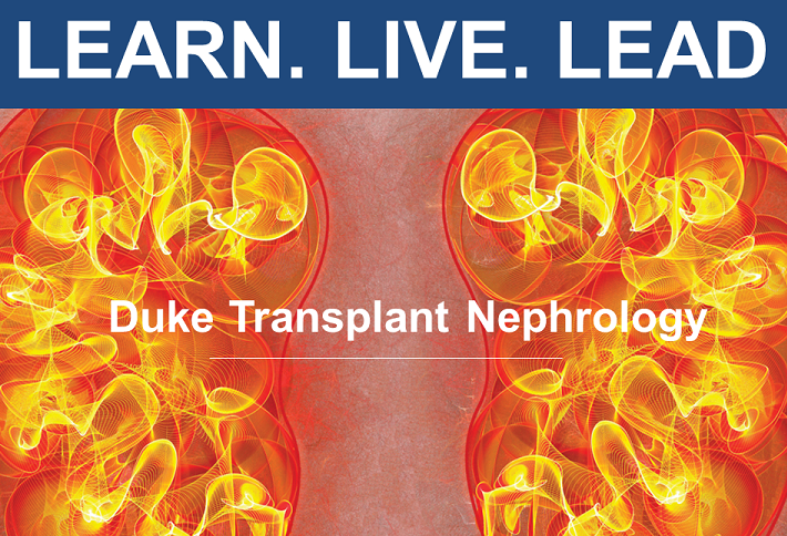 Transplant Nephrology Fellowship Duke Department Of Medicine 9194